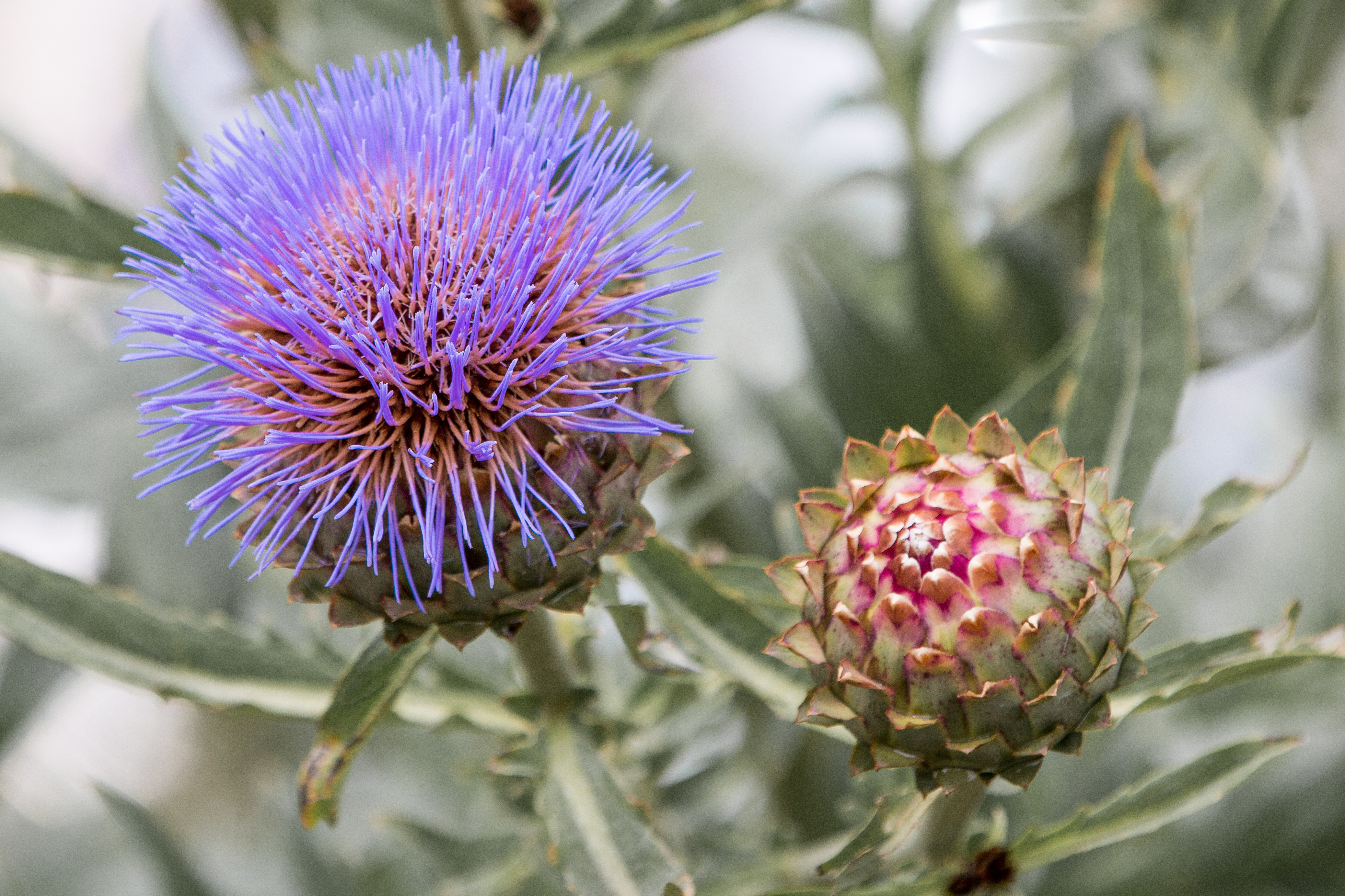 Adobe Stock 220837074