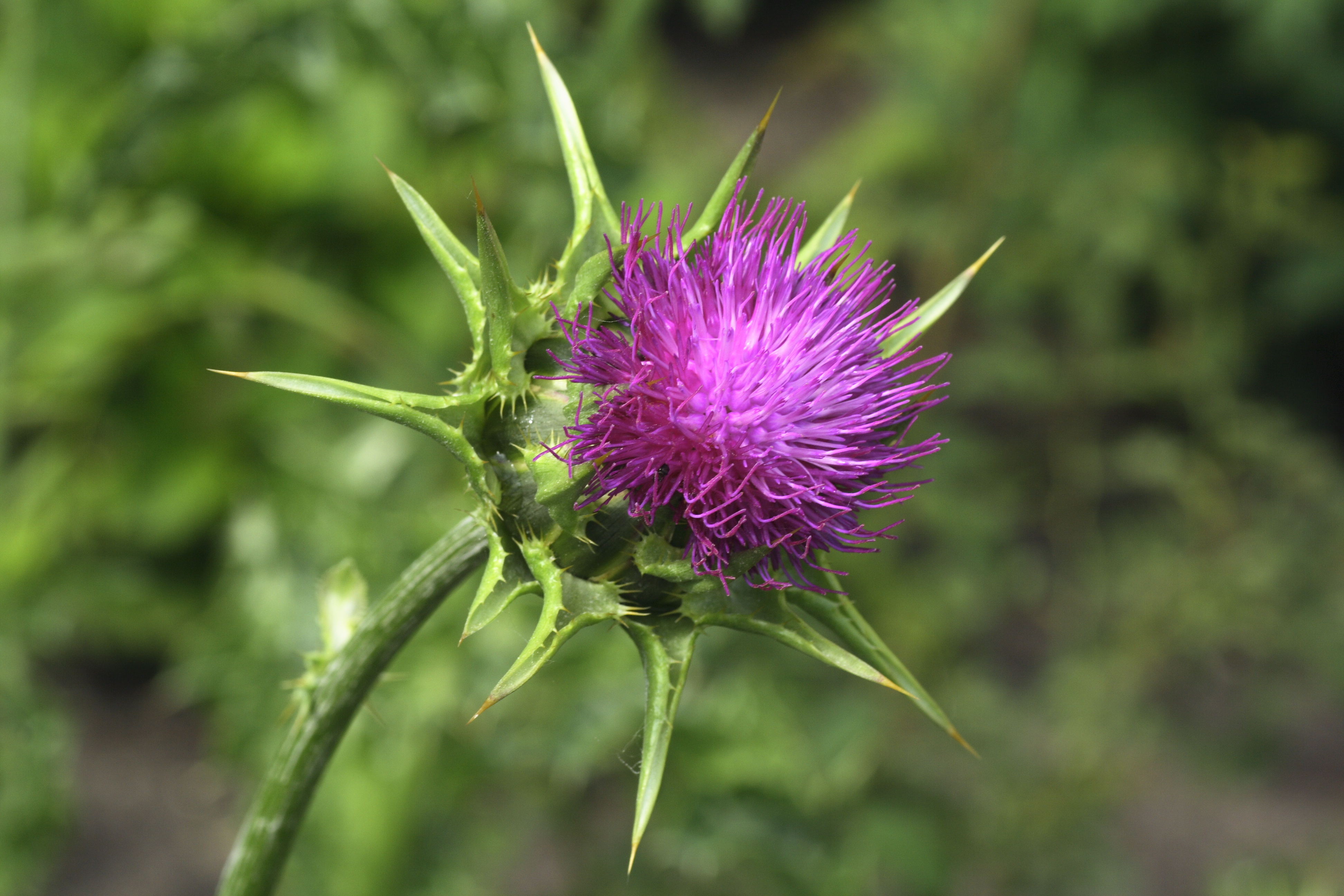 Adobe Stock 328739230