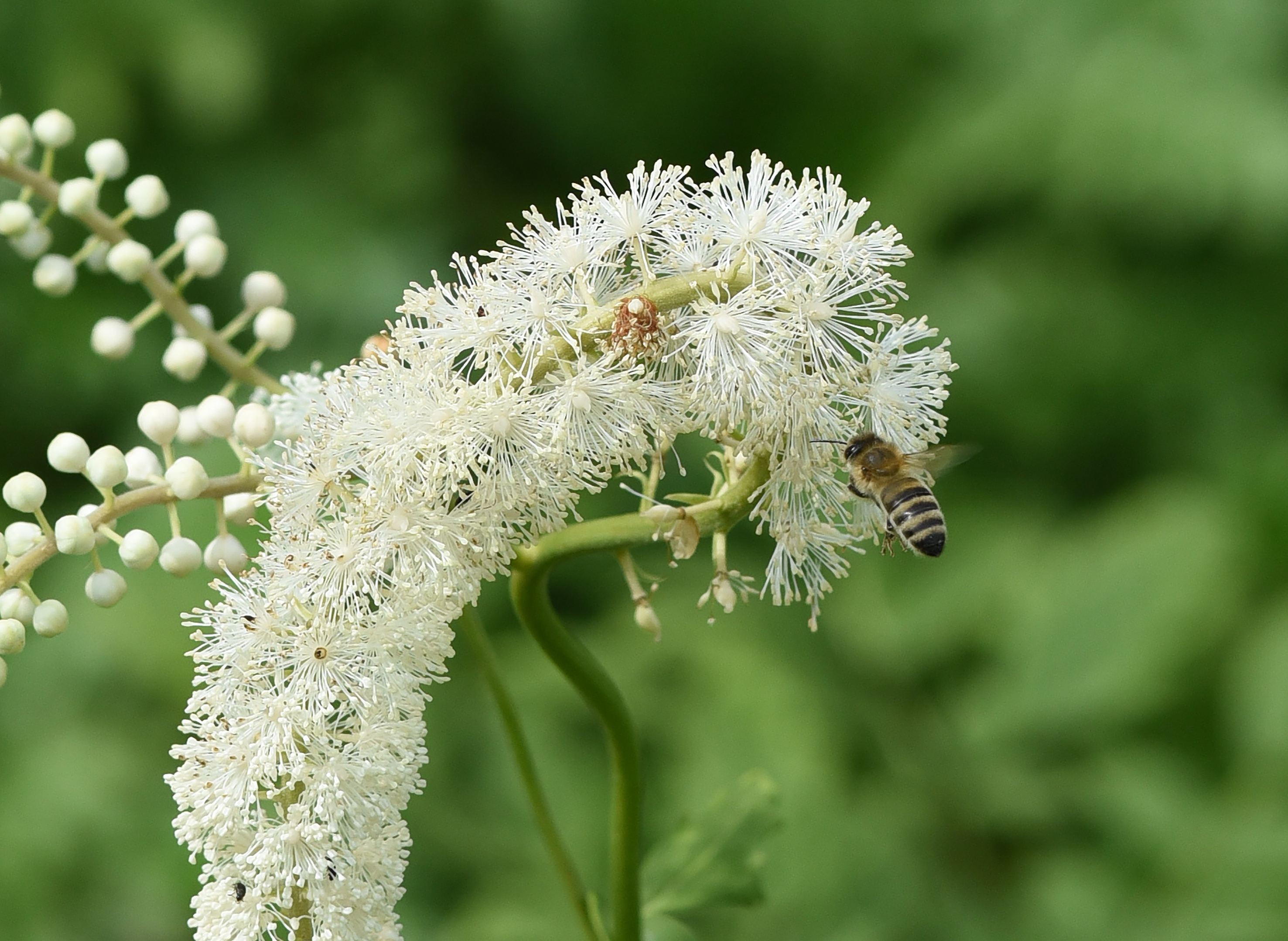 Adobe Stock 446205015